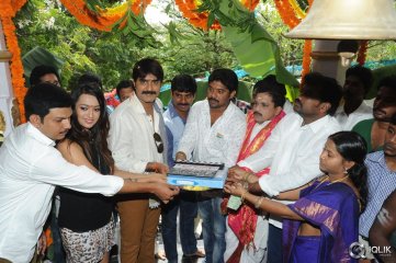 Jalsa Rayudu Movie Opening